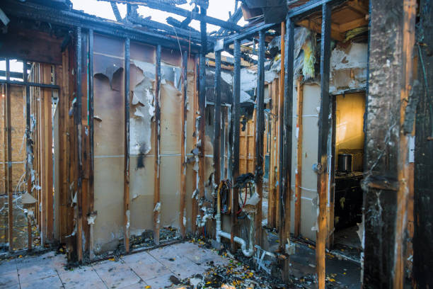 Professional Fire Damage Removal technician working in Grain Valley, MO